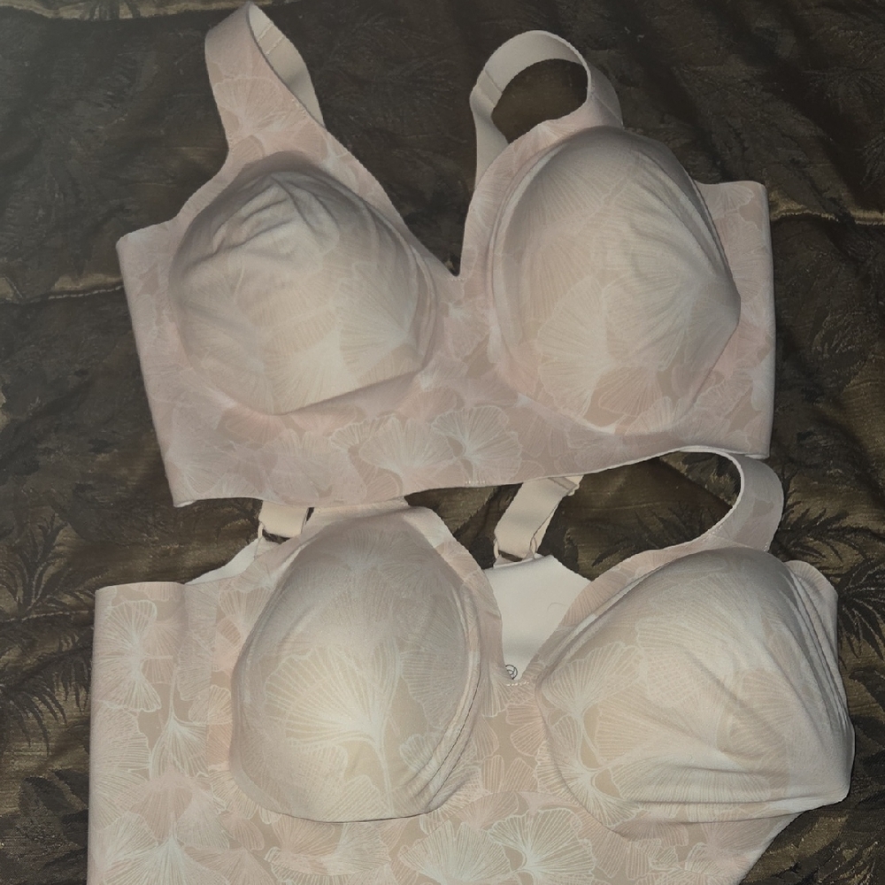 Evelyn & Bobbie - (2) 2XL Bras